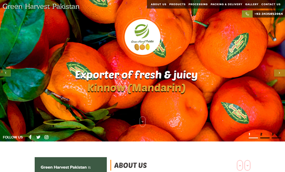 1stfold-web-company-ghp-portfolio-img