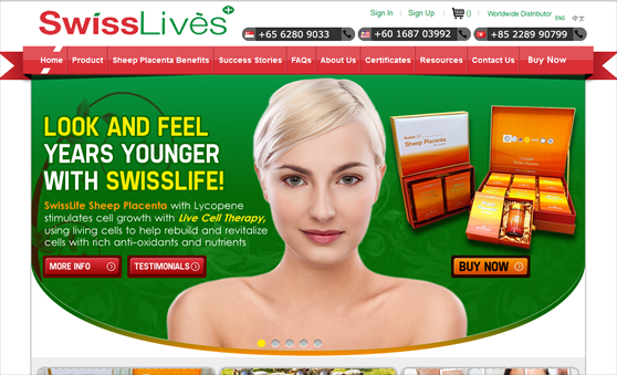 Custom Design Wordpress Website in Singapore